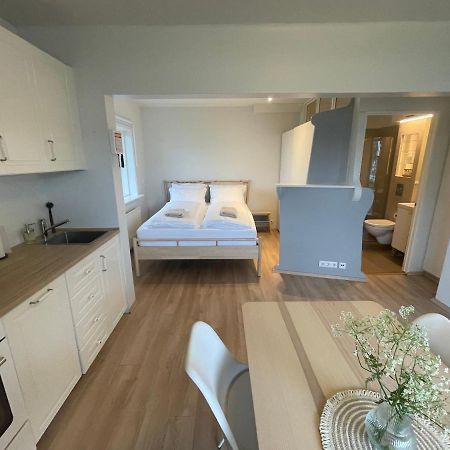 Cosy Studio Apartment Hveragerdi Εξωτερικό φωτογραφία